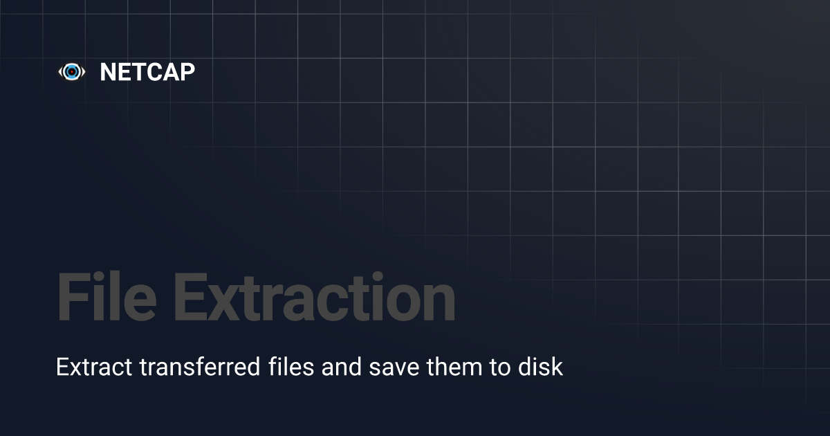 File Extraction | NETCAP